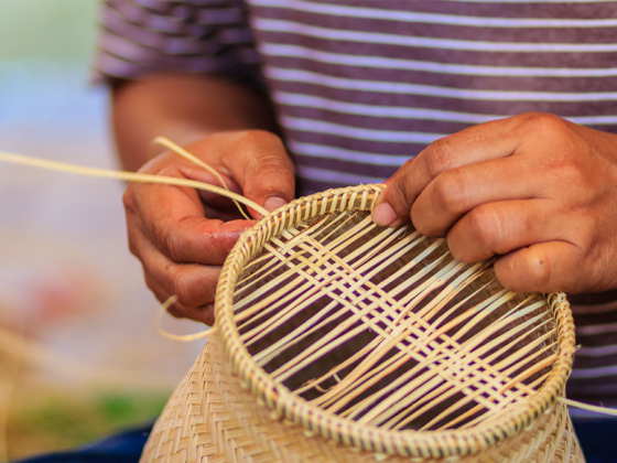 banana fiber crafts training